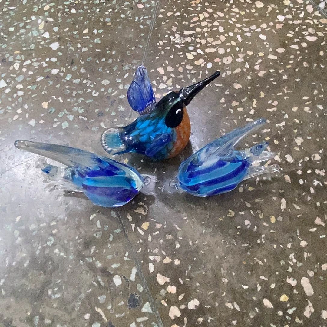 暖****团蜂鸟一个➕燕鱼一对