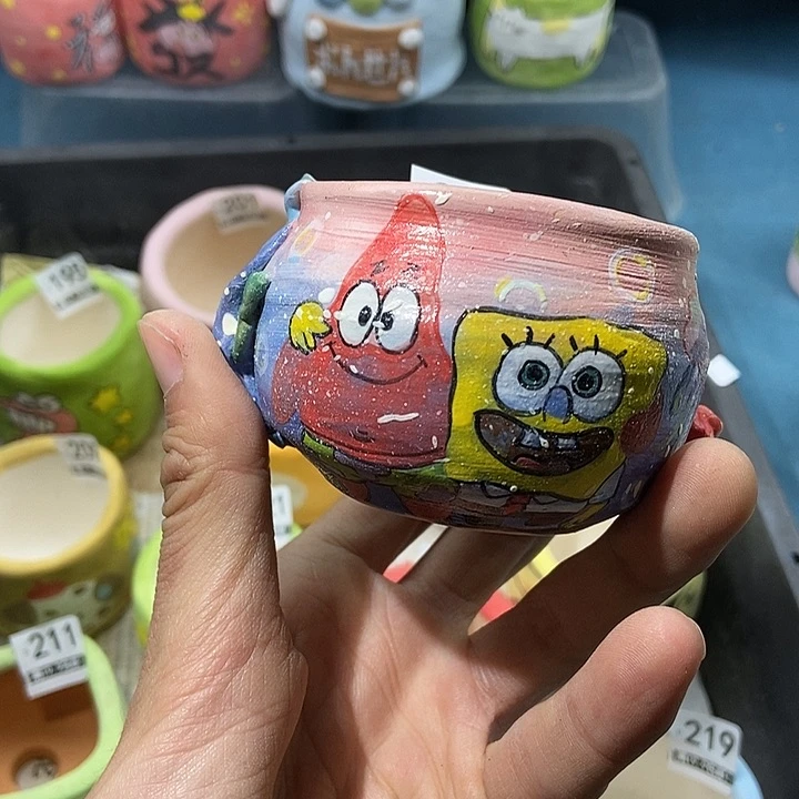 林*琦223大舅生石花肉锥多肉