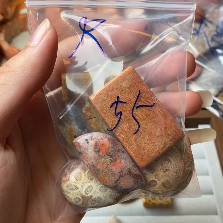 R***a未镶嵌珊瑚玉硅化玉
