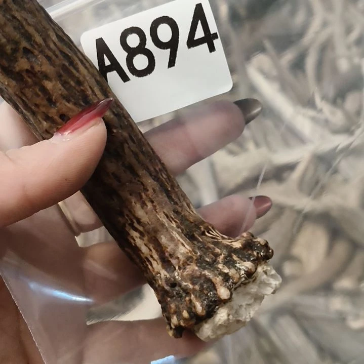 望***墨鹿角鹿角鹿角鹿角鹿角鹿角