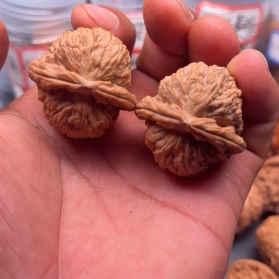 把件文玩核桃白狮36