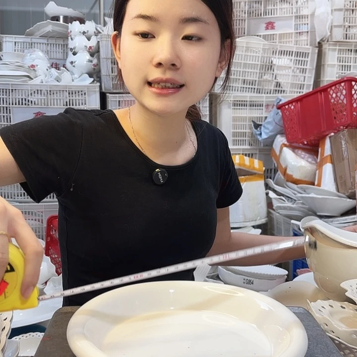 碟微瑕产品………F263一个