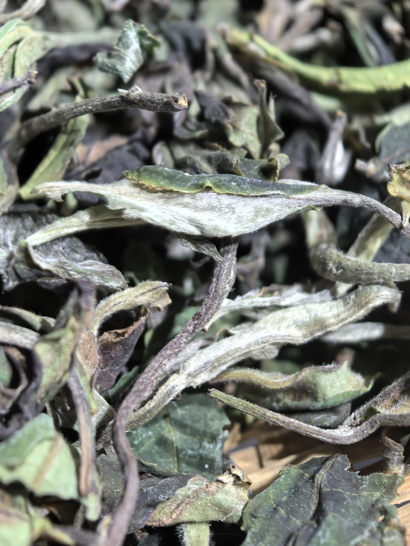 观沧号2025年【胭脂白茶】云南白茶胭脂香花蜜香味纯甜