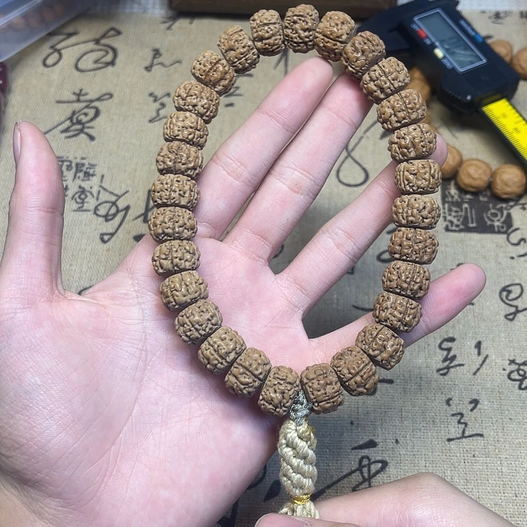 吊坠猴头核桃金刚