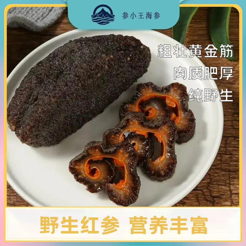 潜水捕捞天然野生即食海参2斤海参花1斤到手3斤➕1个天然海螺