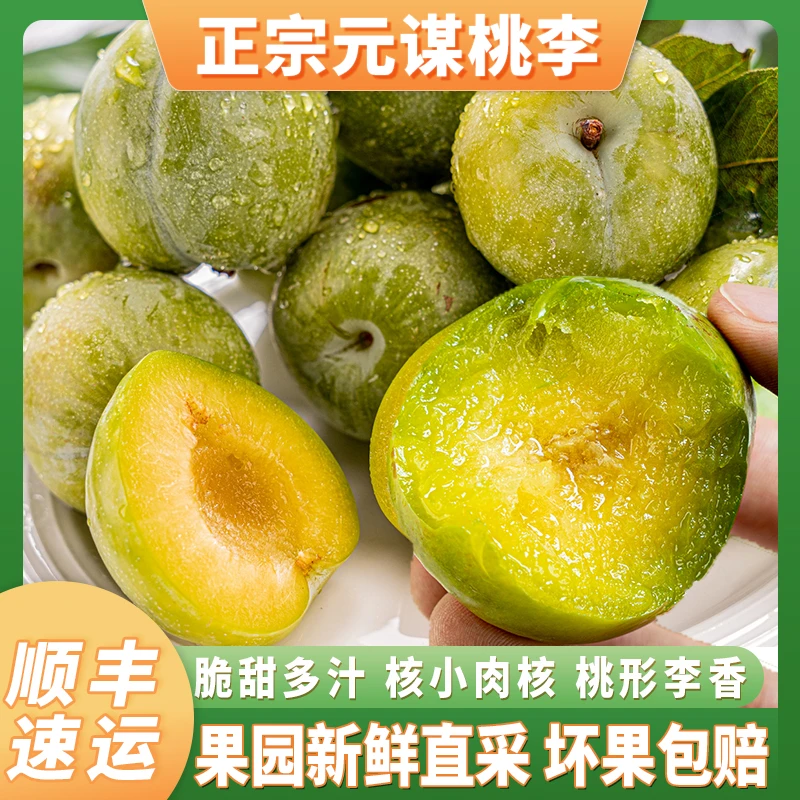 【顺丰速运】云南元谋桃李应季现摘新鲜脆李脆甜多汁精选品质3斤起