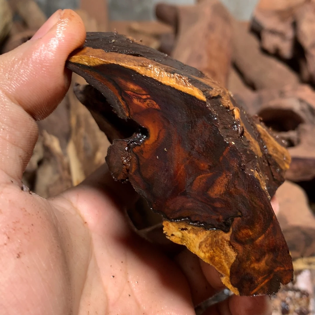 翁***羽黄花梨/降香黄檀海南黄花梨1.0