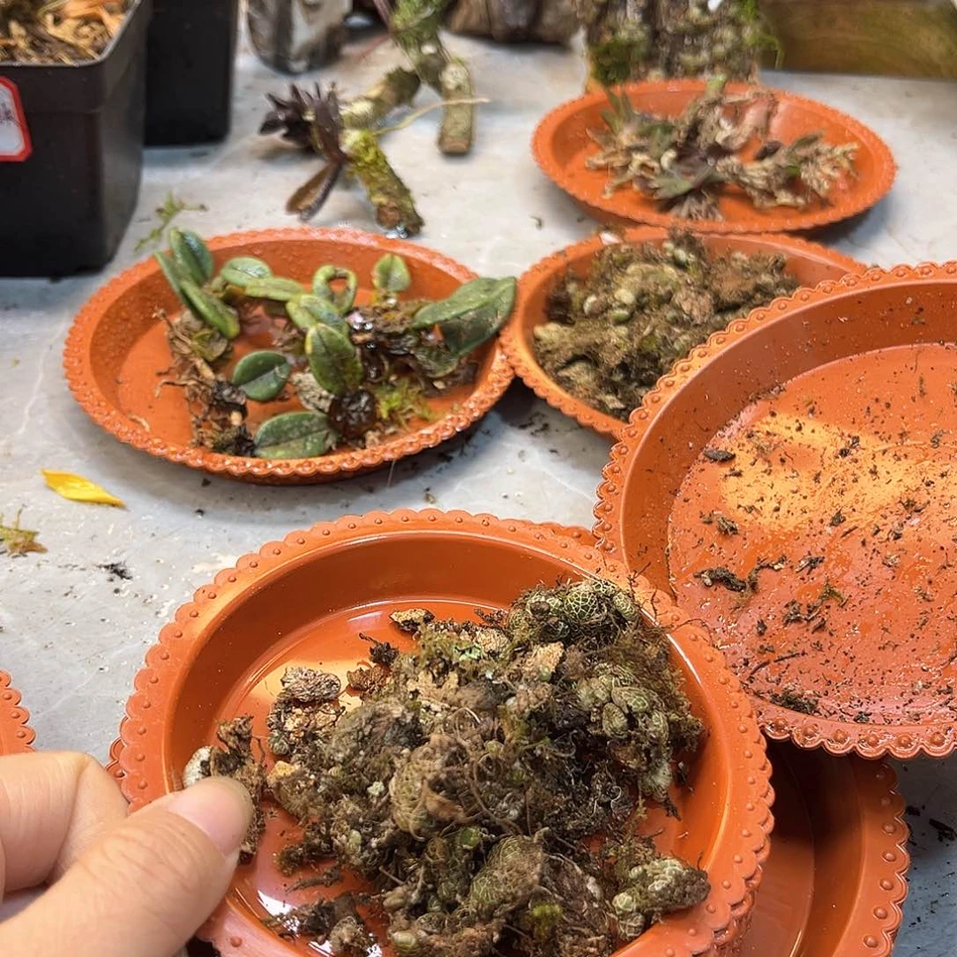 哈***特15。。。。。。。。。。。。。