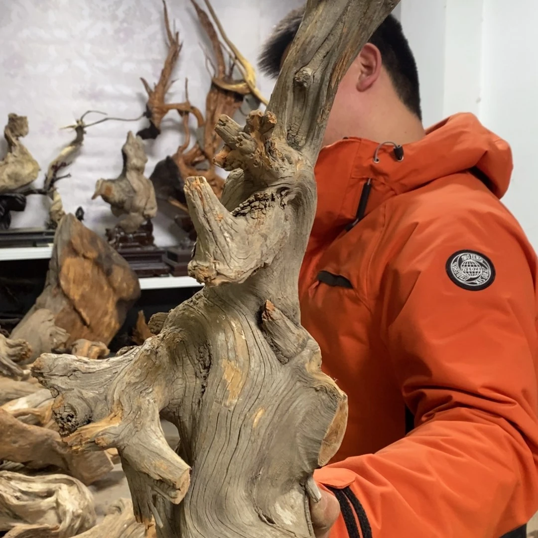 柏木古**香我们都是好孩子