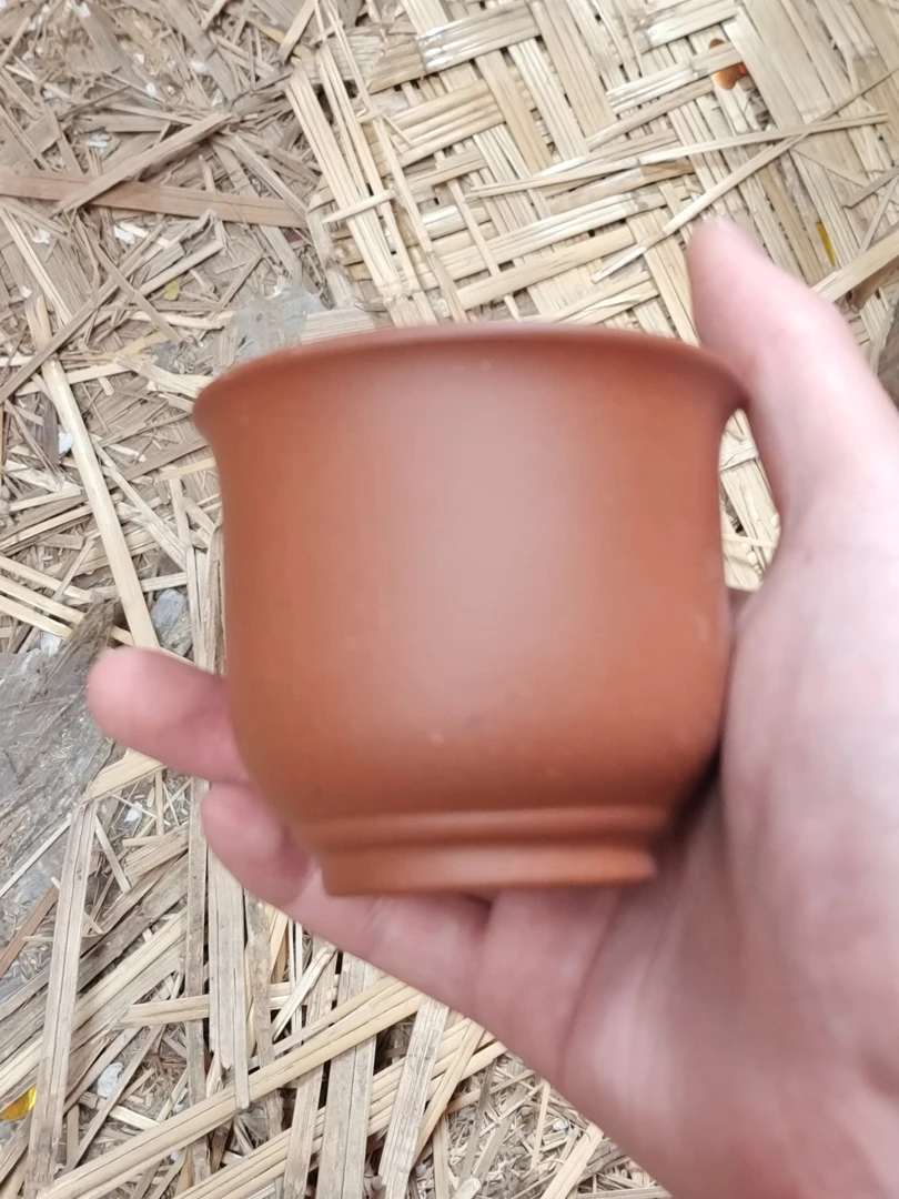 紫砂杯紫砂杯紫砂黄