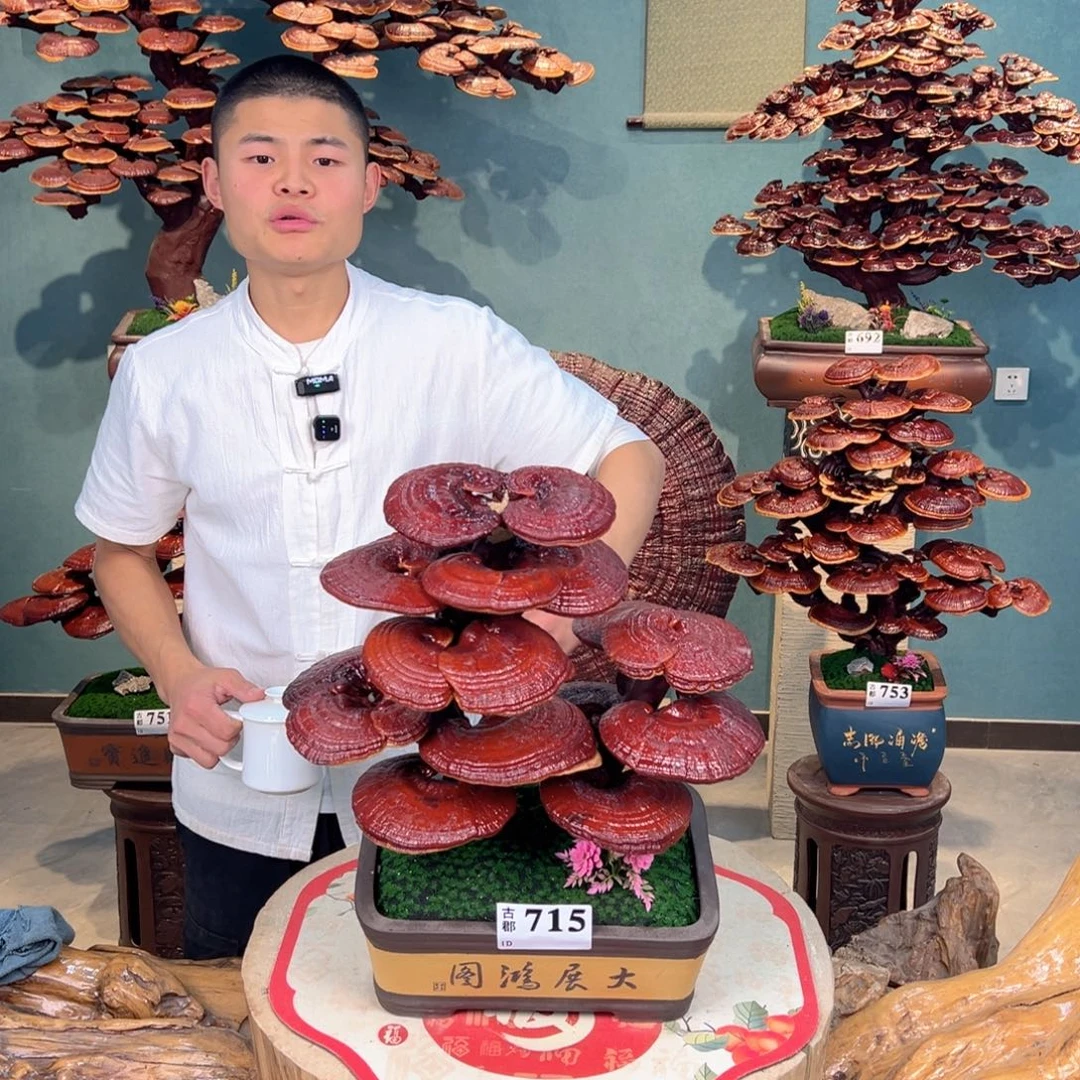 无花朵8888888888888