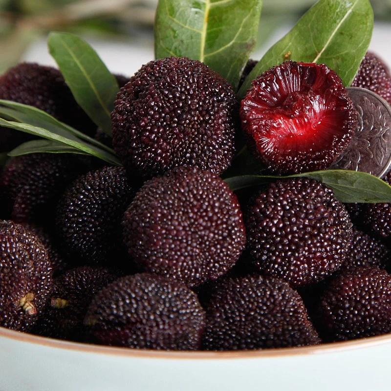 浙江仙居荸荠杨梅荸荠黑炭新鲜杨梅杨梅同城送浙江省