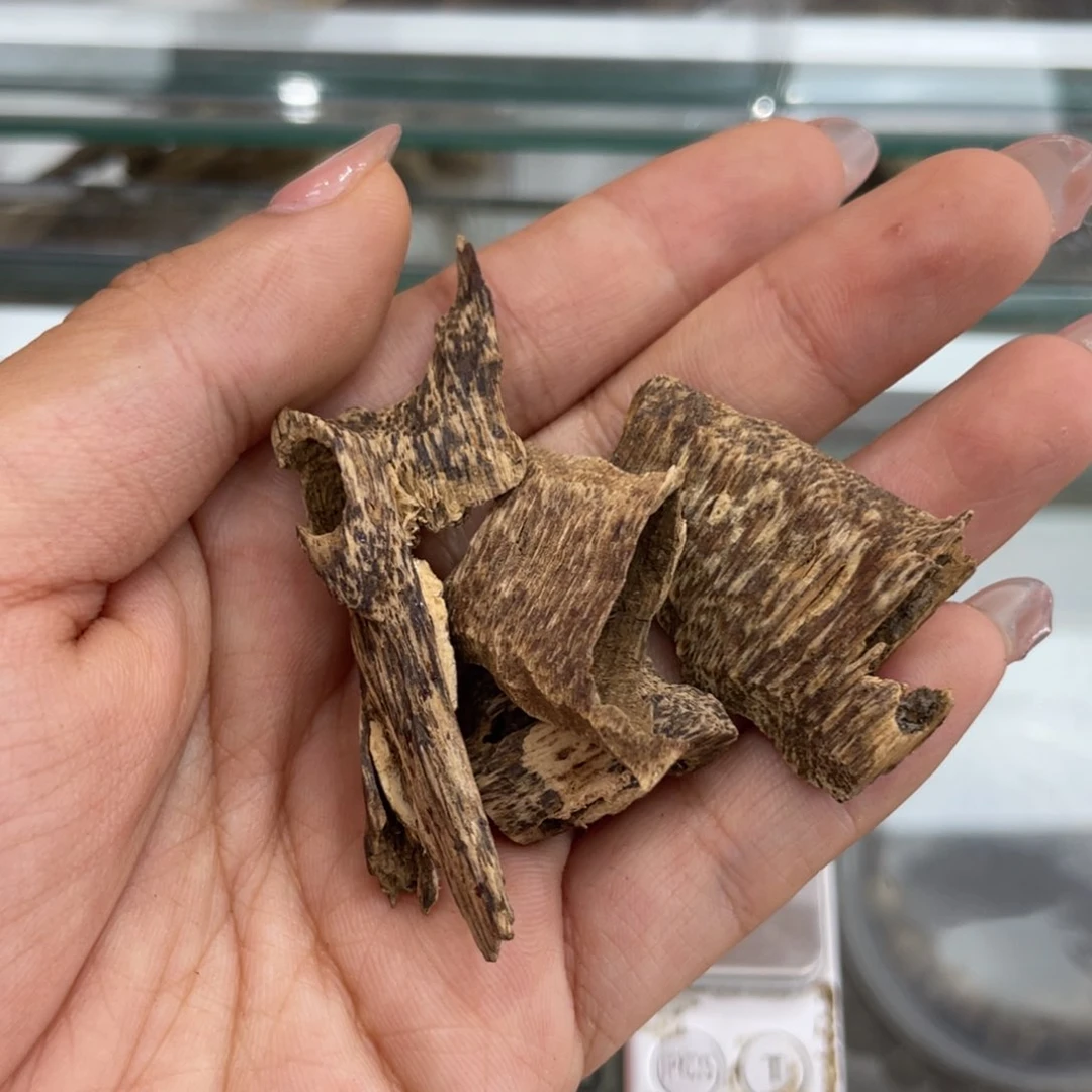 香榧木海南尖峰岭鸡母虫漏5g开播福利