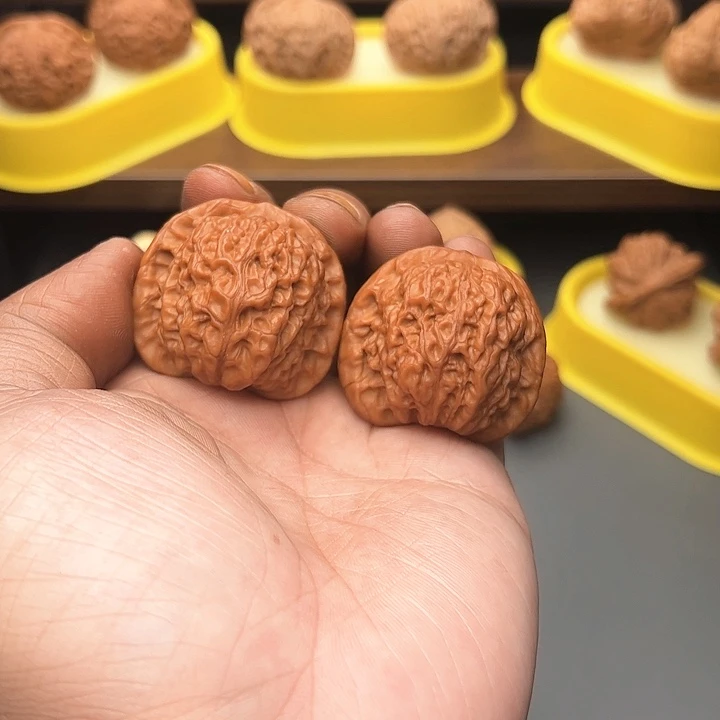 40原生态满肉血麒麟