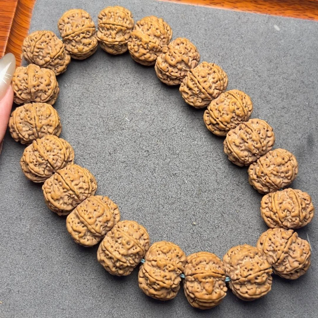 菩提36号尼泊尔大金刚21七瓣超头手持