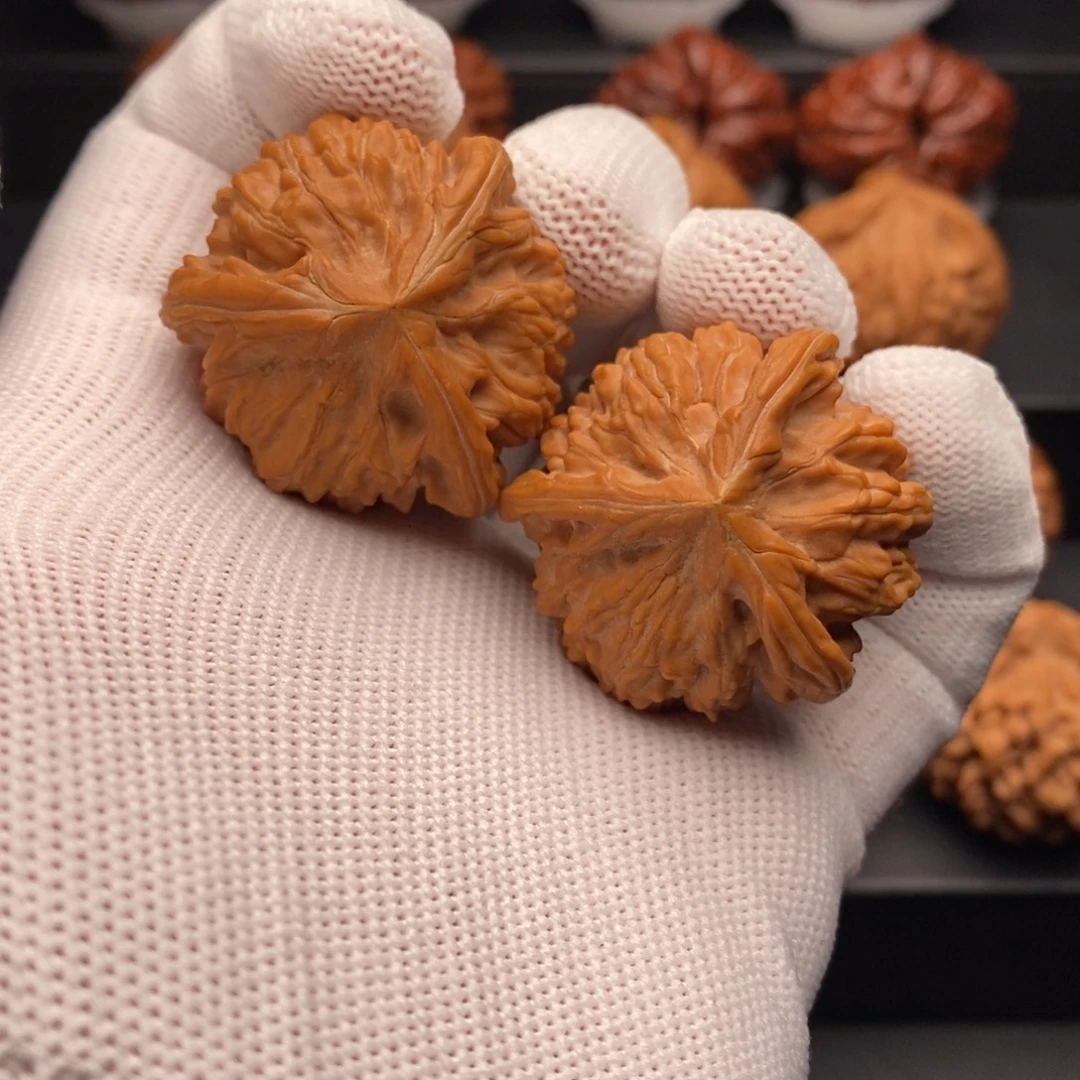 文玩核桃把件36尺全品御龙奔