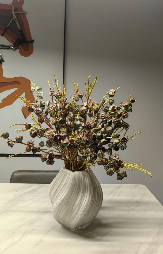 （云云精选）尤加利果鲜切花可做干花懒人花材