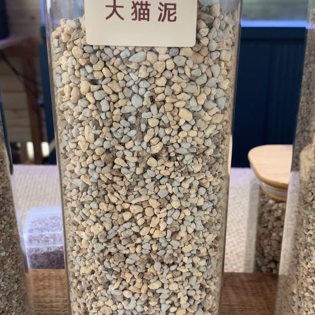 米*.米粒大猫泥发货多肉
