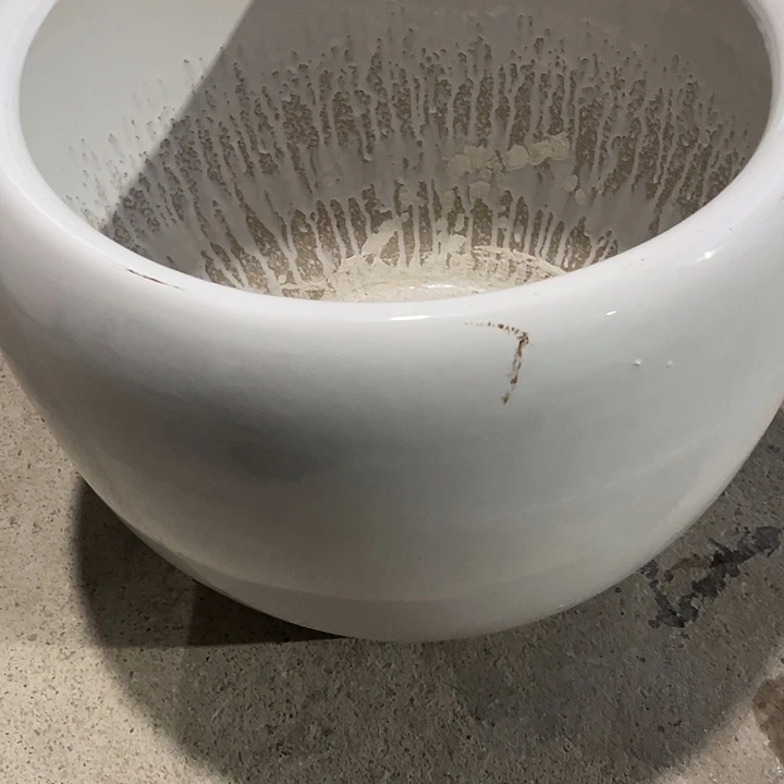 我是一只小小鸟地域鬼的人生观