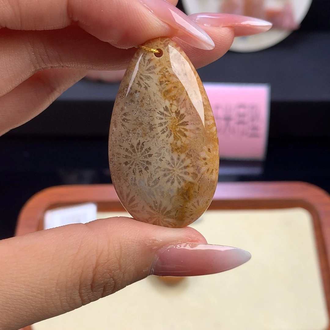 【闪购商品】硅化珊瑚（珊瑚玉）未镶嵌颈饰4号链接 15/个