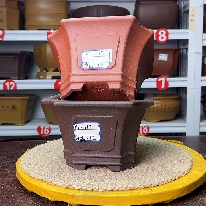 紫砂花盆蛇年大吉