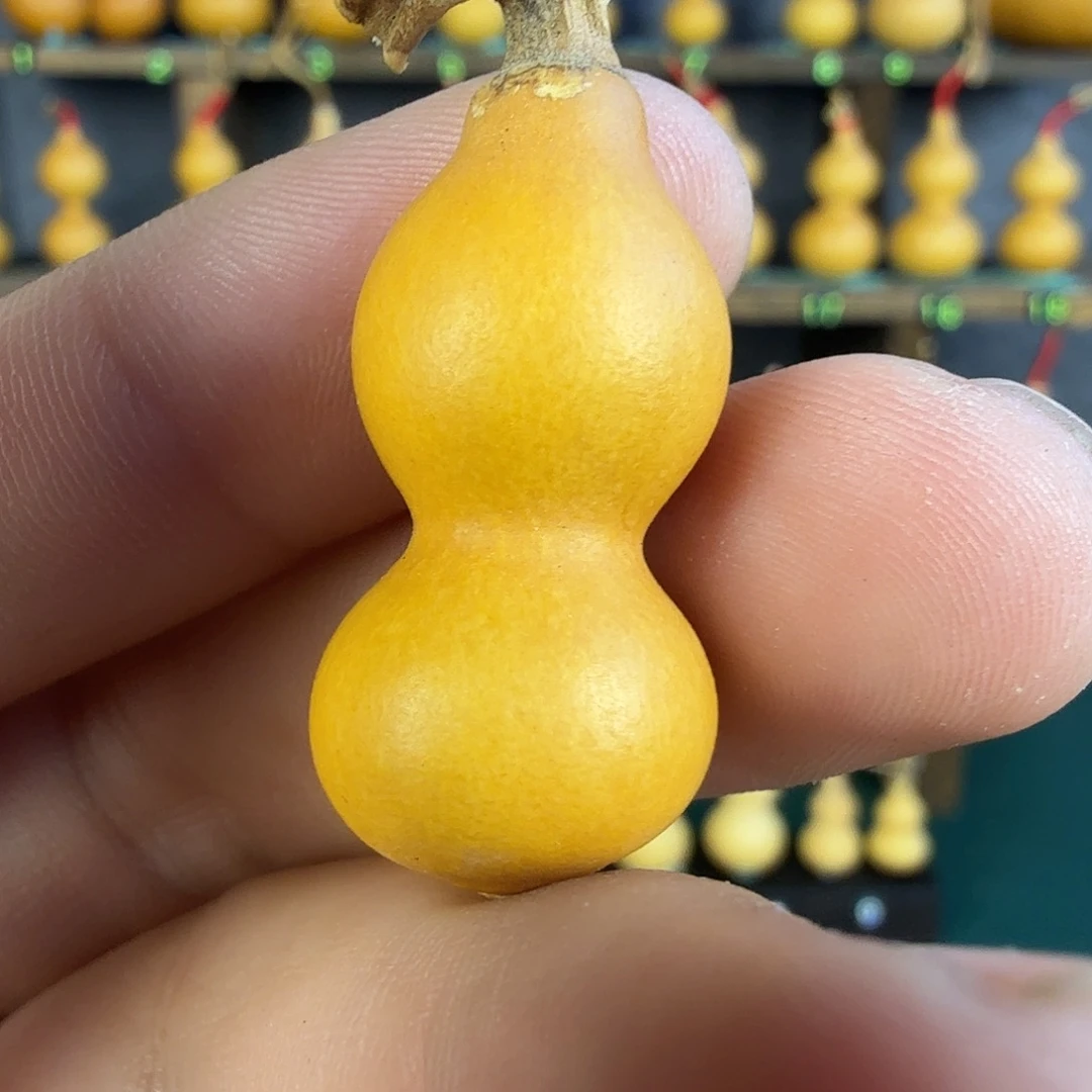 雪****葫芦葫芦葫芦葫芦葫芦葫芦