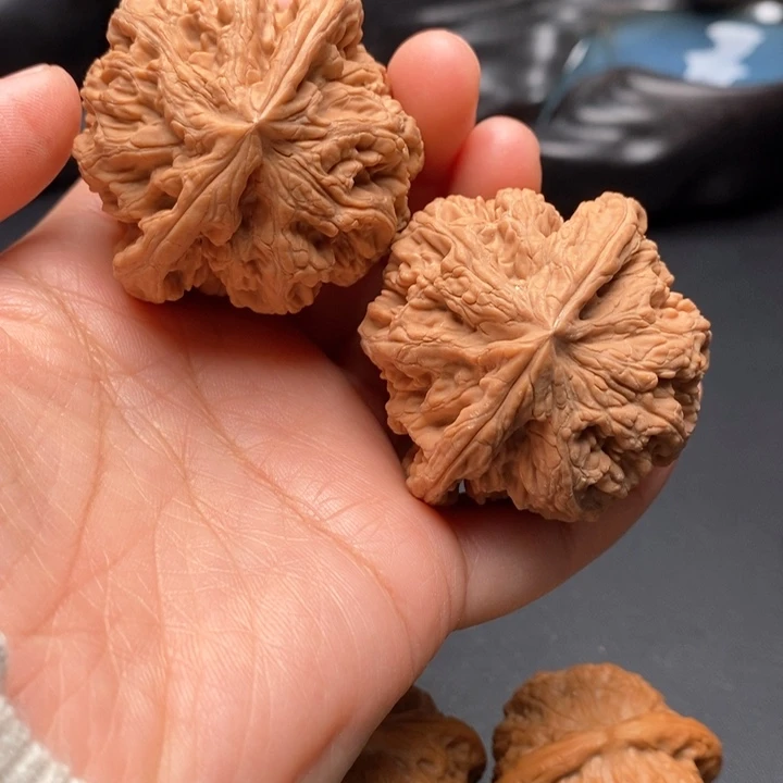 把件文玩核桃粗筋毕业47尺