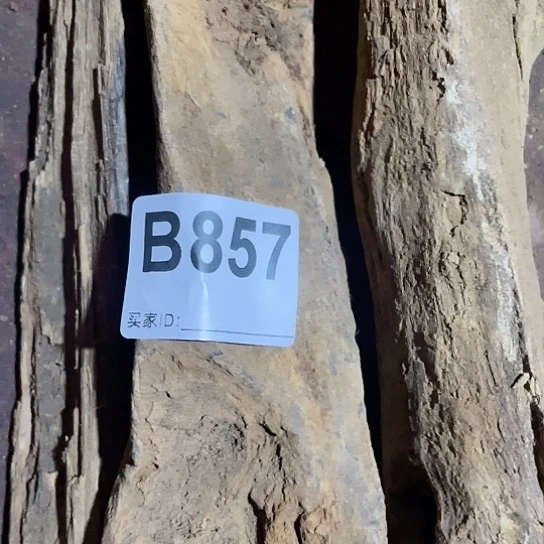 大果紫檀（缅甸花梨）牛****冲857