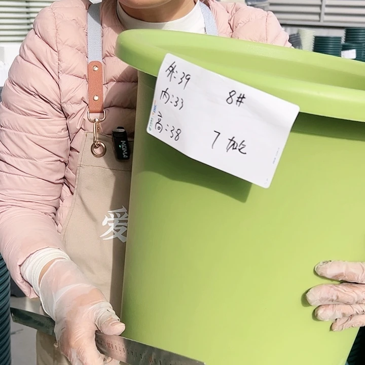 树脂四季盆8#果绿色4个无托