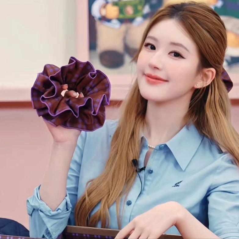 赵露思同款格子大肠发圈女韩系高级感扎头发大号头绳2025新款头花