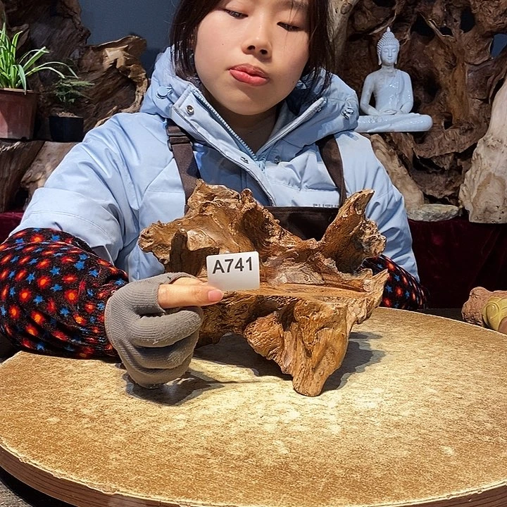 A*y741株木随行的小根艺