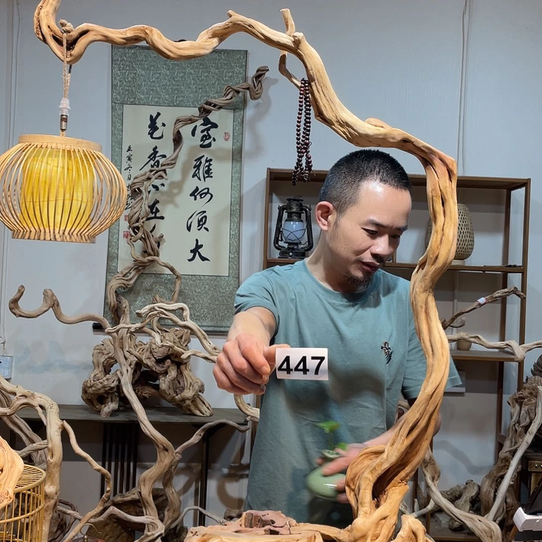 香杉木养*园今天在路上发现好多