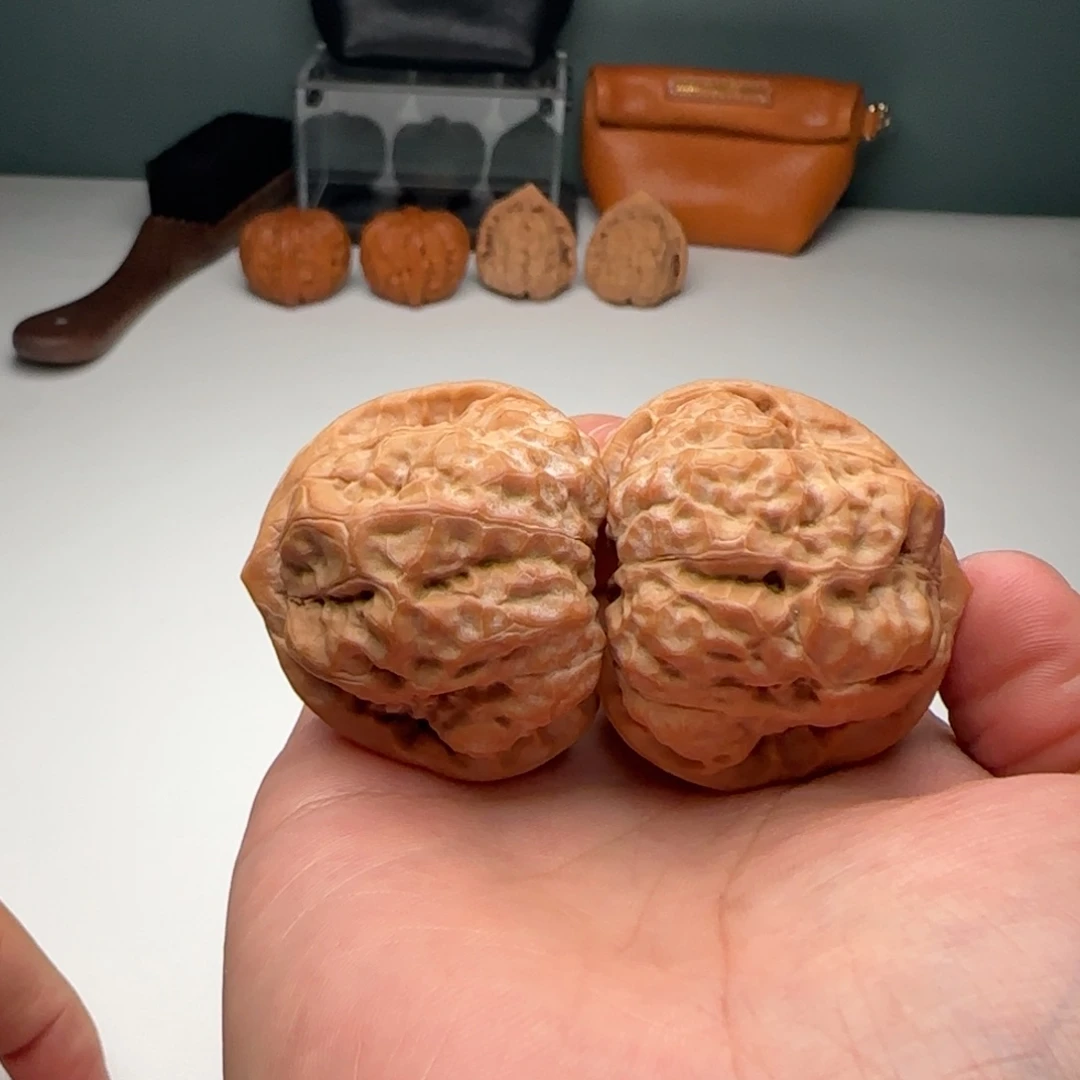 41-43-37蛙蟾型好配对好16号