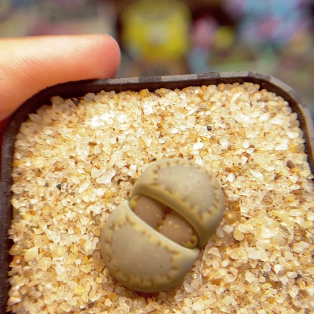 140。888888888888888888