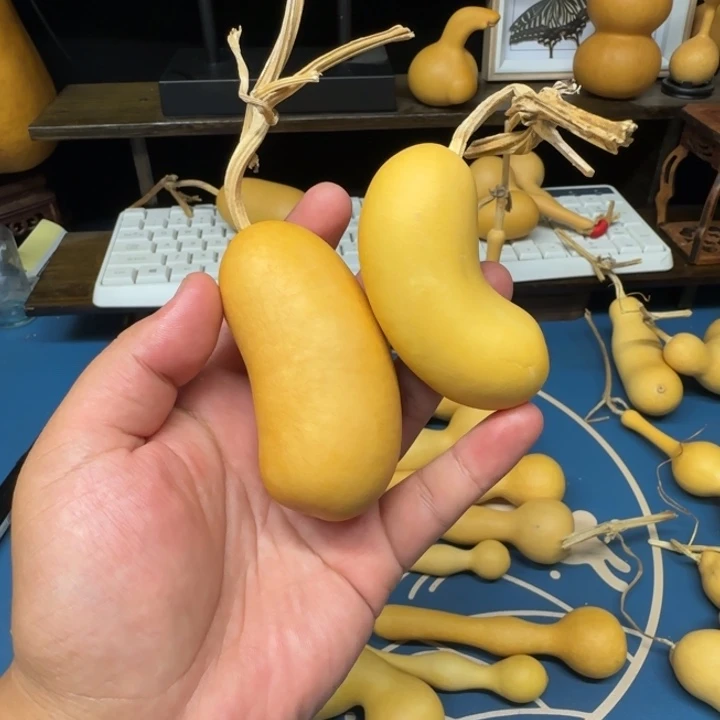 葫芦葫芦葫芦葫芦
