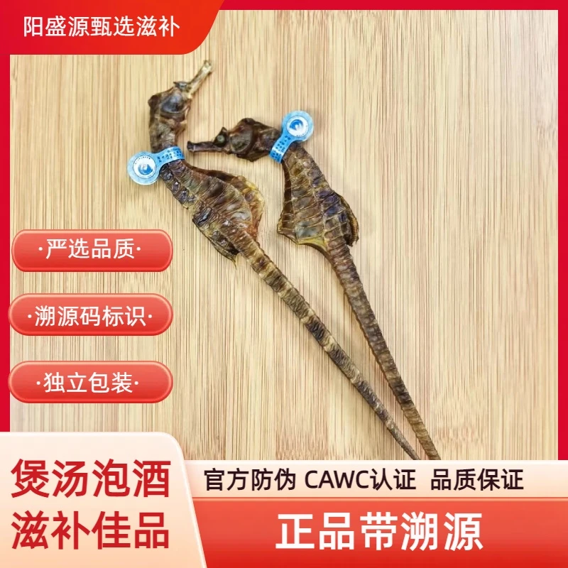 正品海马干货可煲汤泡酒搭配田七做汤料