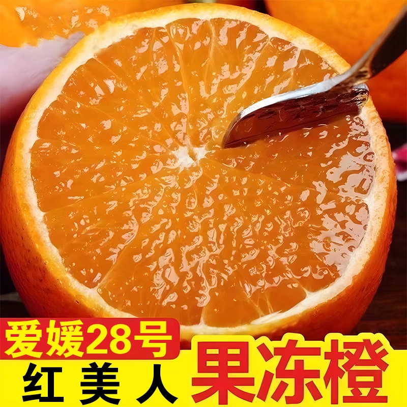 正宗眉山爱媛28号红美人细腻爆汁皮薄现摘鲜甜自然多汁果园好吃
