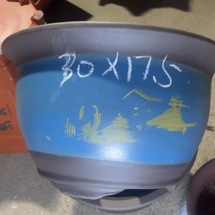 试试再说周三周四