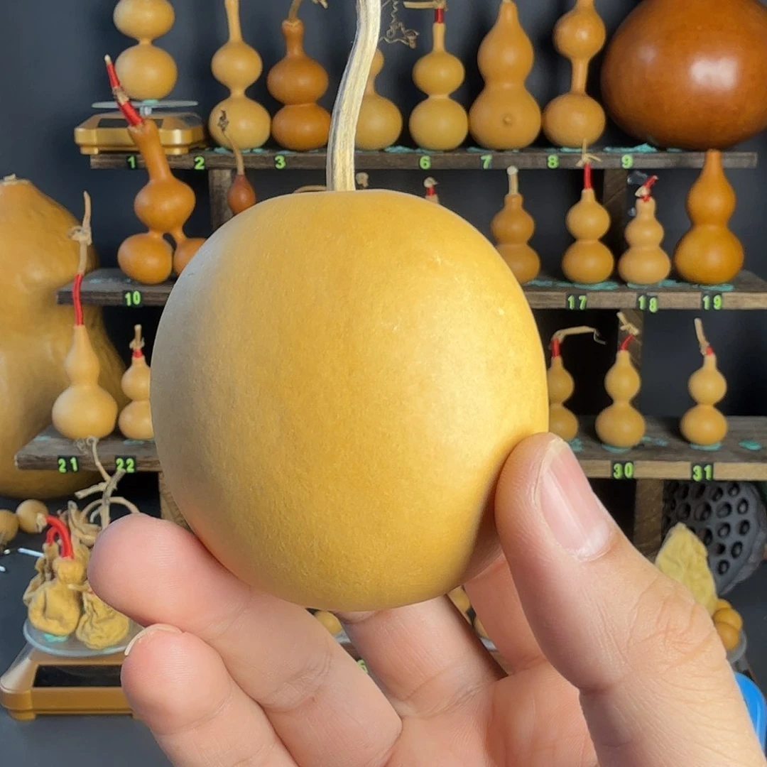 葫芦葫芦葫芦葫芦葫芦葫芦葫芦