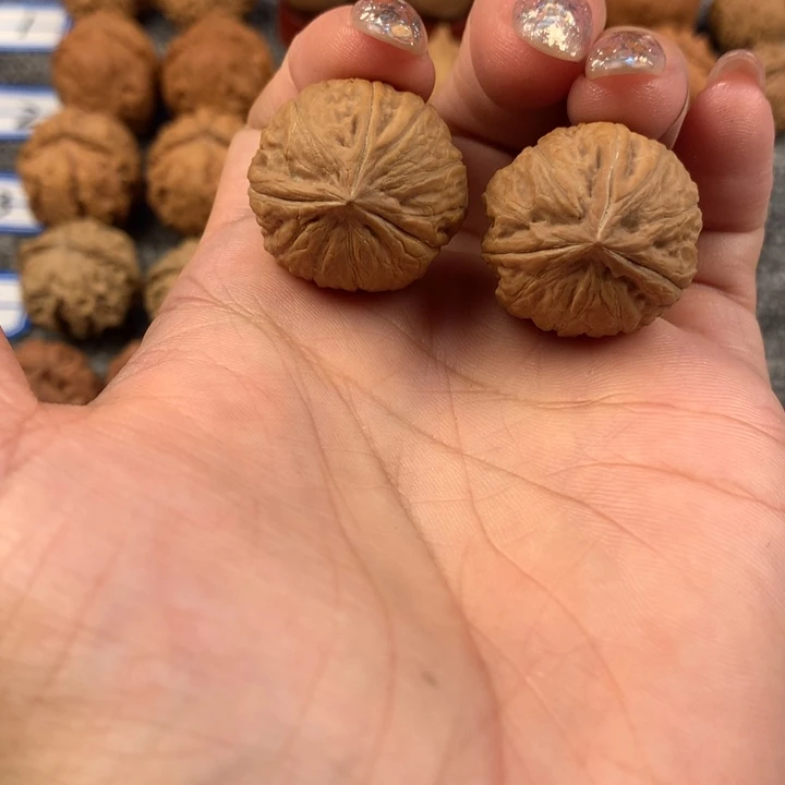 自*人三棱。