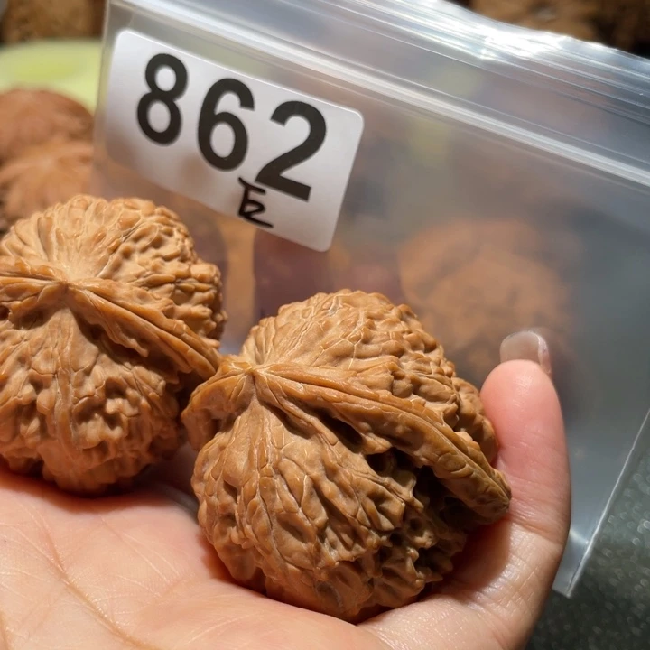 *****把件文玩核桃白狮子41