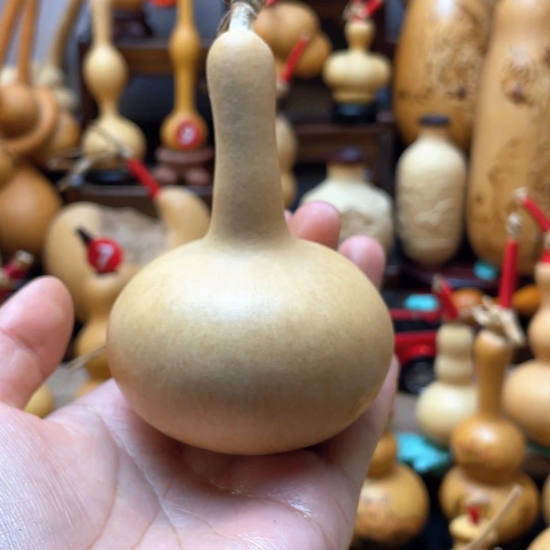 侯*涛大自然的秘密第十一节你是