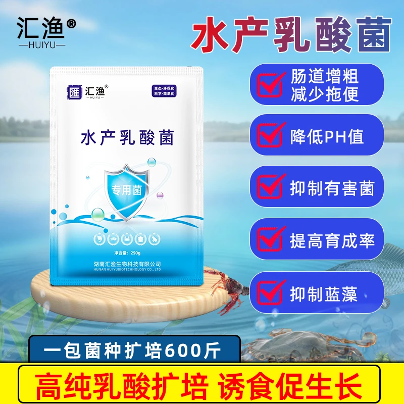 汇渔水产乳酸菌 鱼虾蟹塘水质改良 肠道调理 分解粪便 抑制有害菌
