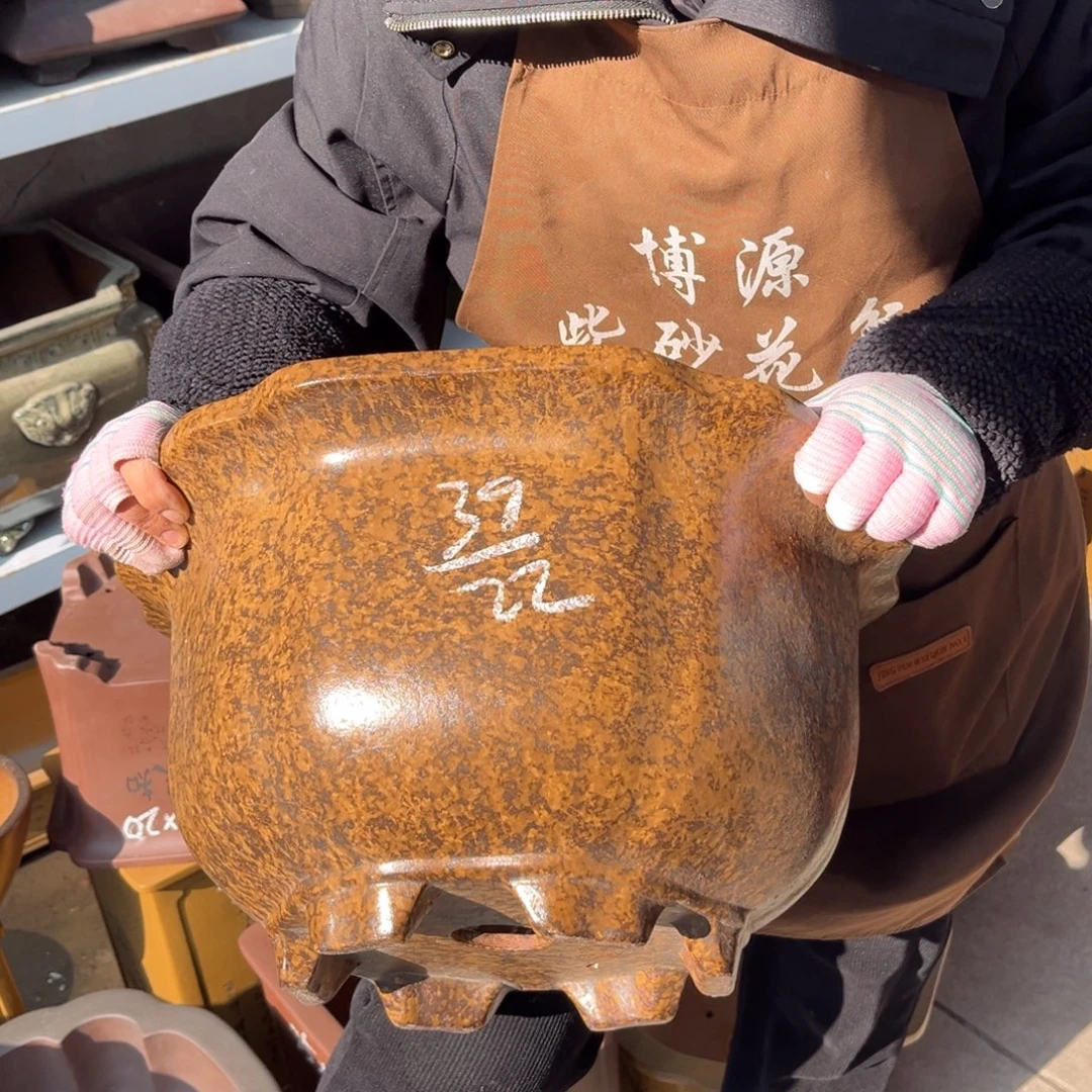 花盆紫砂盆景艺术