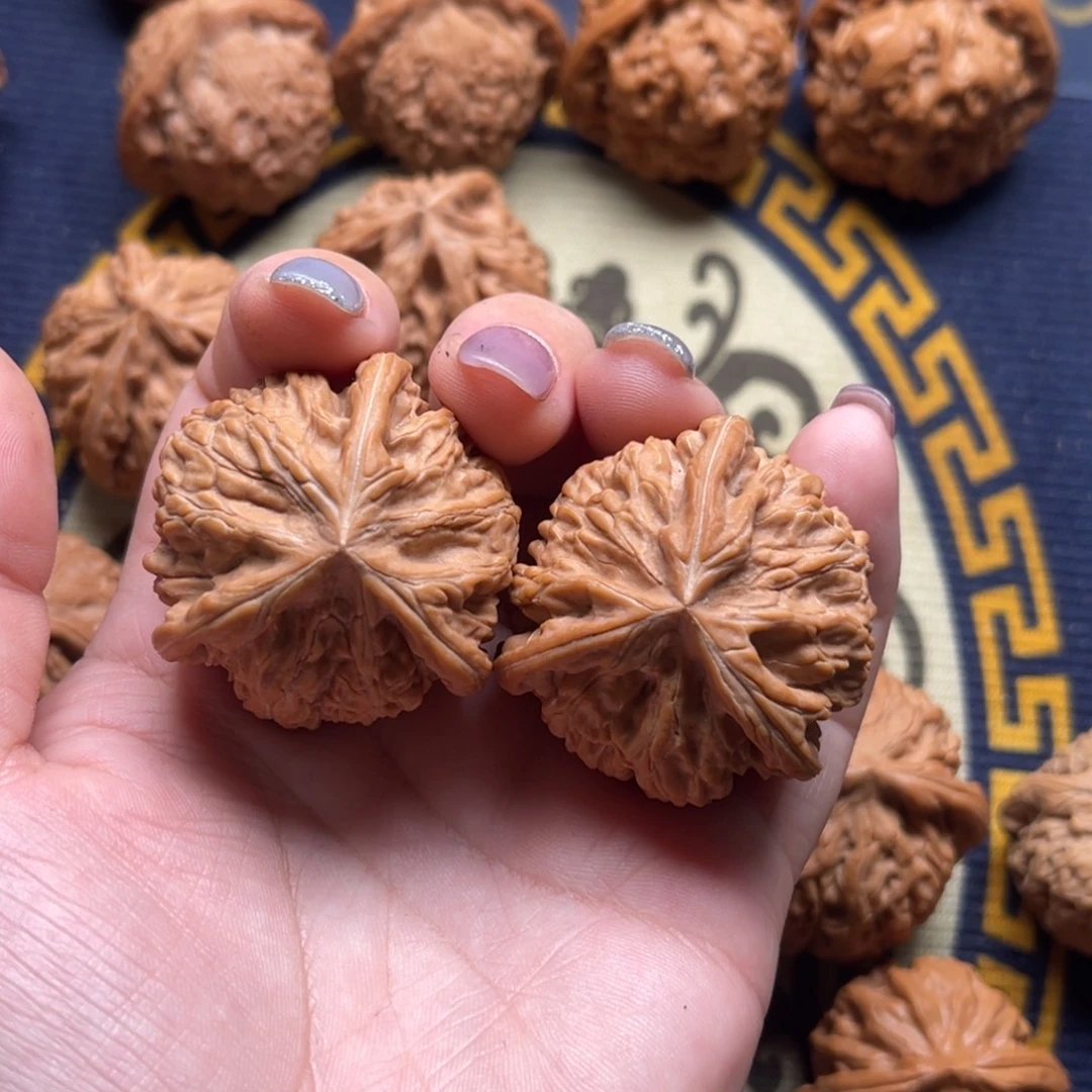 核桃高端小众文山38
