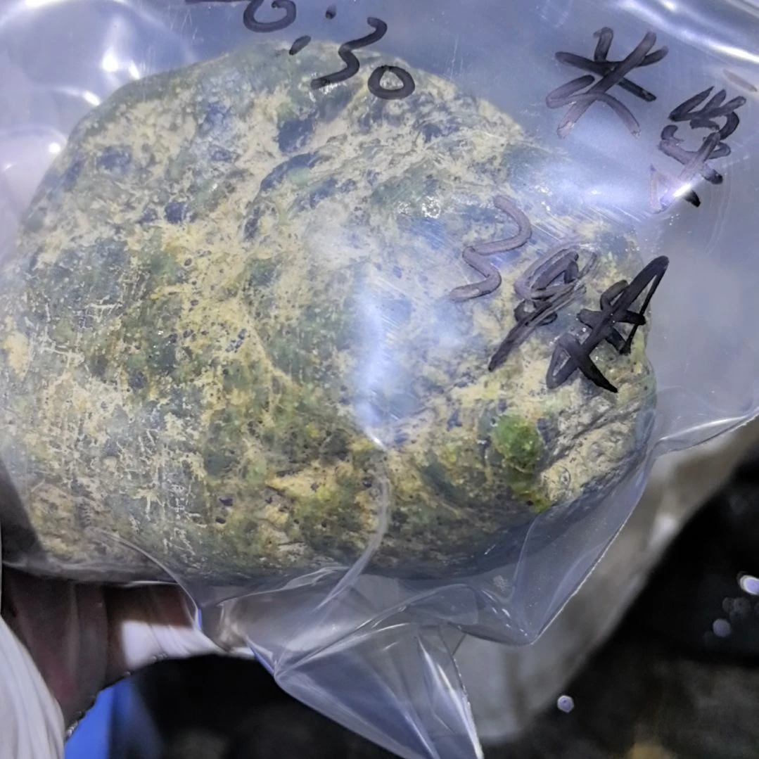 米***栗藏玉药王石原石一个