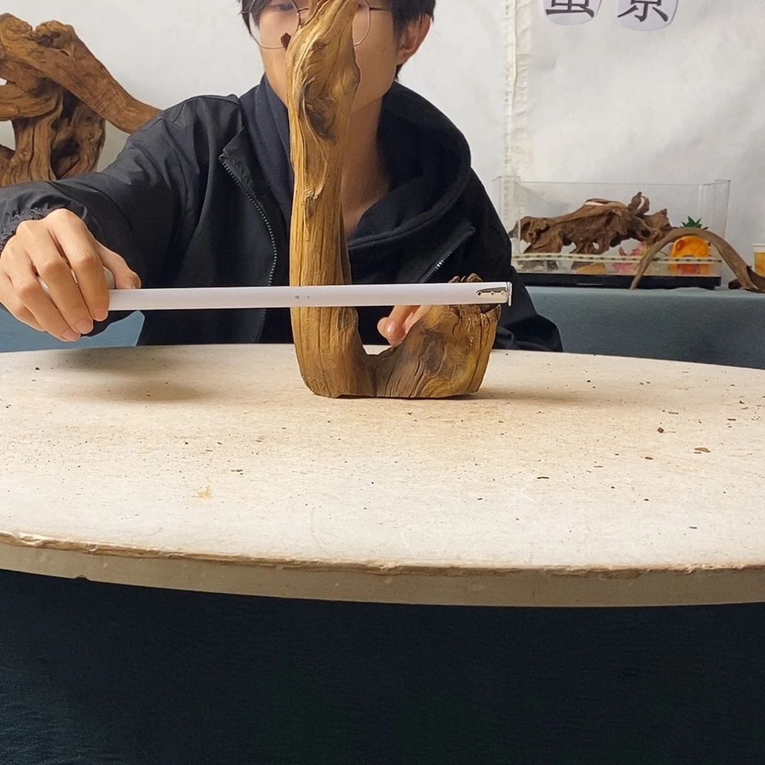 16.11.30 沉木造景爬宠造景