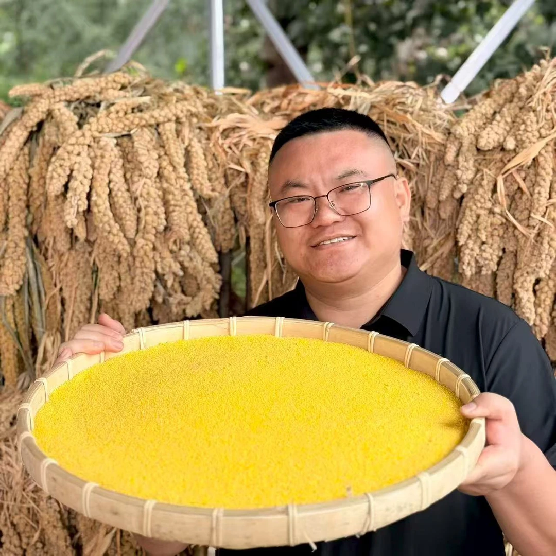 【张班长推荐石磨源小米】新小米黄小米煮粥醇厚香糯粘稠油小米-KK