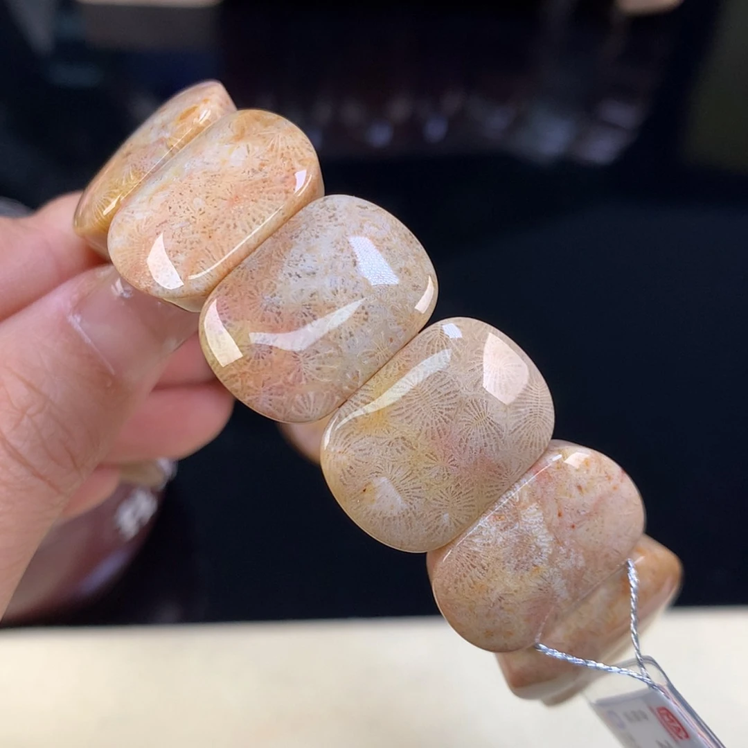 【闪购商品】颈饰未镶嵌硅化珊瑚（珊瑚玉）上新手牌68号