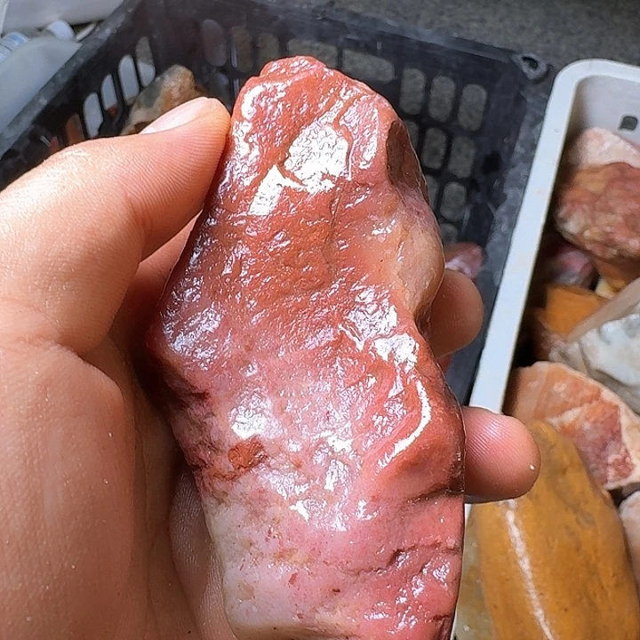 尼***哥寿山石寿山石的种类